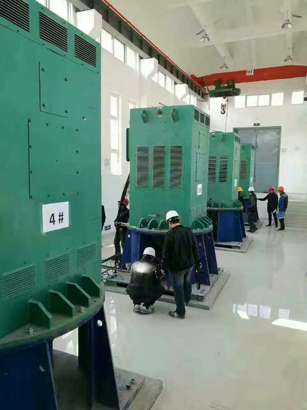 南丰某污水处理厂使用我厂的立式高压电机安装现场