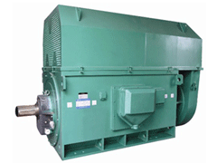 南丰Y系列6KV高压电机